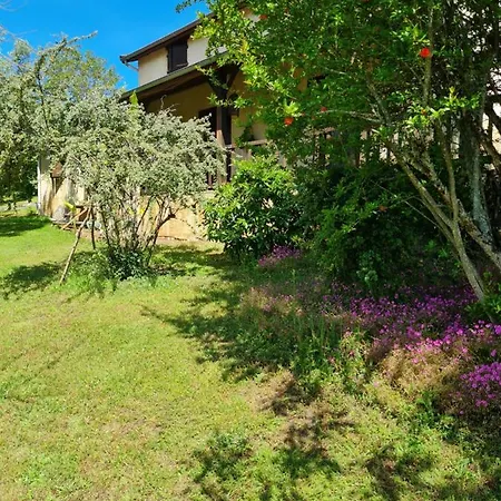 Holiday home La Bergerie Sarlat-la-Caneda